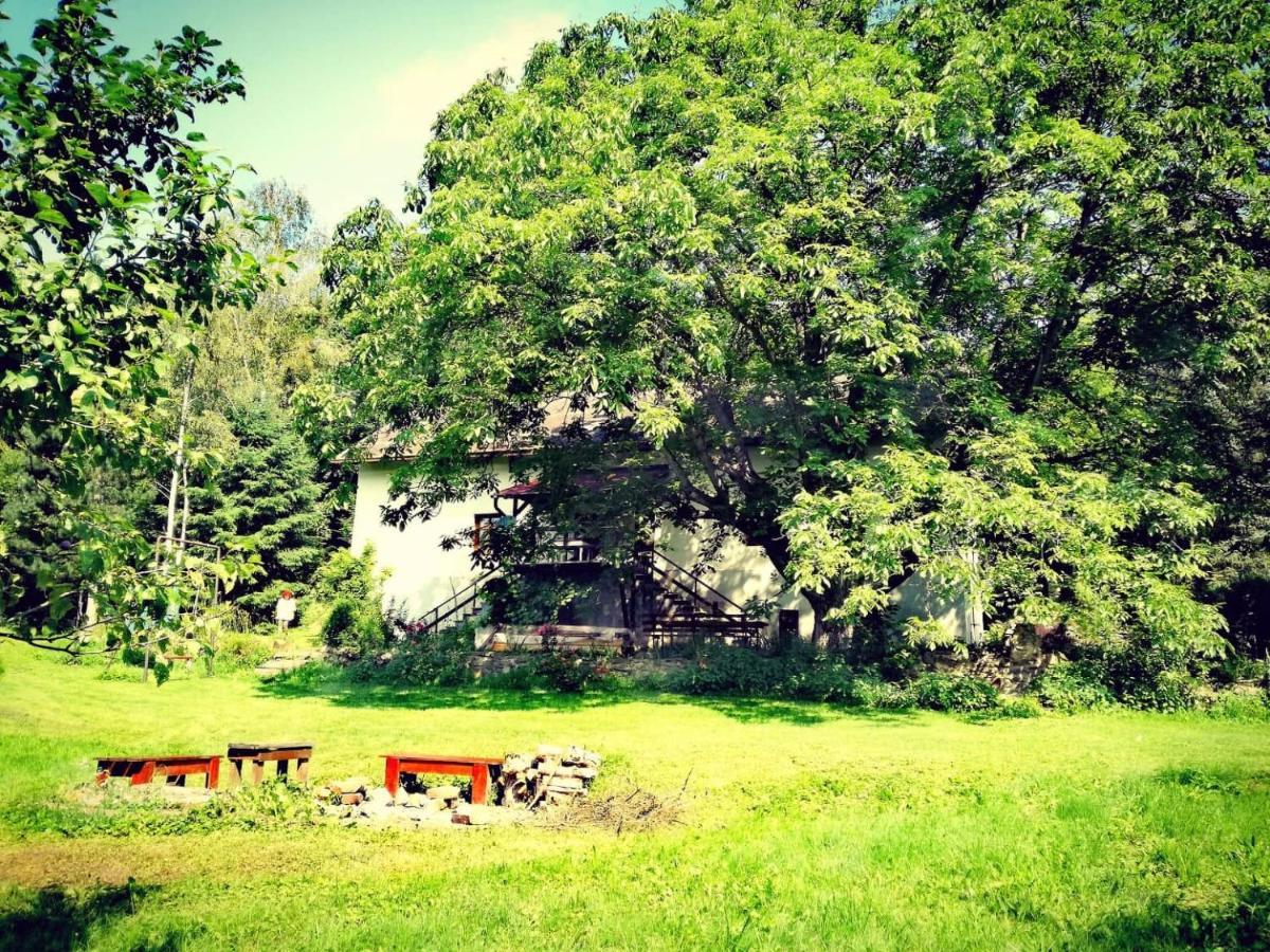 U Lesíčka Vysoka (Bruntal) Exterior foto